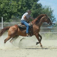 Ray Wood's profile image