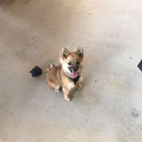 Sue Snell's profile image