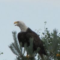 Nita Powell's profile image