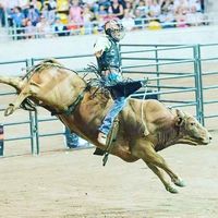 Haeden Searle's profile image