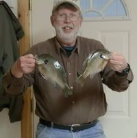 Lynn Dunham's profile image