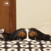 Julie Miller's profile image