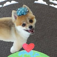 Paulette Darlene's profile image