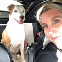 Misty Wright's profile image