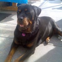 John Kerr's profile image