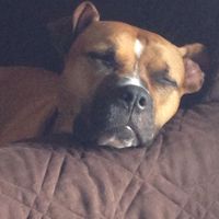 Gary Heaston's profile image