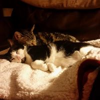Michele Walker's profile image