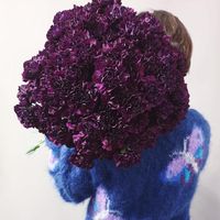 Caroline Ball's profile image