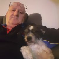 Steve Howie's profile image