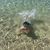 Laura Gordon Hatfield's profile image