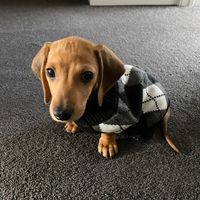 Lauren Lee's profile image