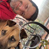 Evan Vagelis Bouzas's profile image