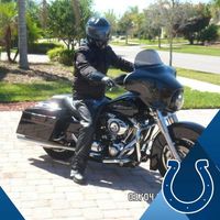 David Williams's profile image