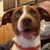 Kathy Hartwig's profile image