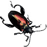 Lauren M.'s profile image