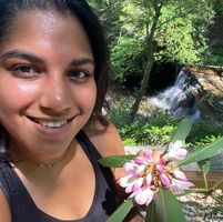 S Tuli Mazumdar's profile image