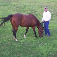 Michael Bates's profile image