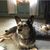 Sandy Schabot Sabino's profile image