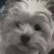 Cheryl Campbell's profile image