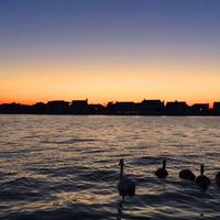 Theresa Mary's profile image