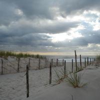 Barbara Paul's profile image