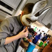 Finley Collins's profile image