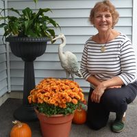 Linda Davis's profile image