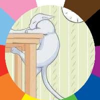 Joanne Hohenadel's profile image