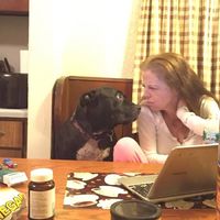 Doris Freeman's profile image