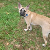 Angie M Berio-Holmes's profile image