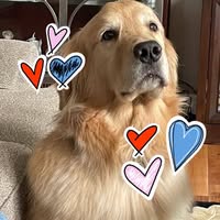 John J DiPonio's profile image