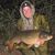 Brid Caveney's profile image