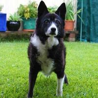 Lesley McMahon's profile image