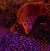 Cathy Jo Coster Wilkie's profile image