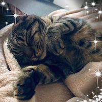 Marzena Nykiel's profile image