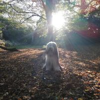 Anna Rze's profile image