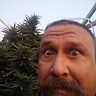 Daniel's profile image
