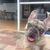 Charly Para's profile image