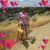 Carole Pelchat's profile image