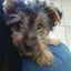 Barbi's profile image
