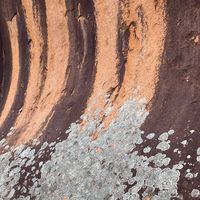 Debbie Robson's profile image