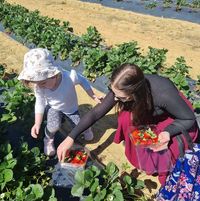 Kalie Alyse's profile image