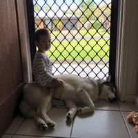 Helen Ho's profile image