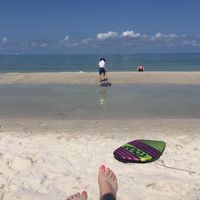 Jodi Fechtel's profile image