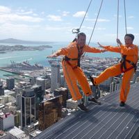 Neil Scrimgeour's profile image