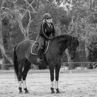 Marisa Dee's profile image