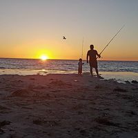 Aaron Morrison's profile image