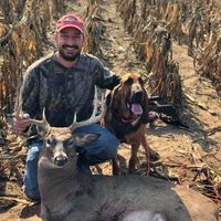Josh Lyons's profile image