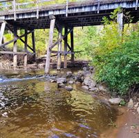 Renae Loomis's profile image