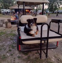 Edith Cargill's profile image